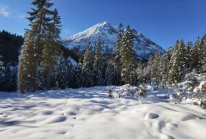 LEUTASCH WINTERWANDERN Wettersteinhütte im Gaistal Tirol