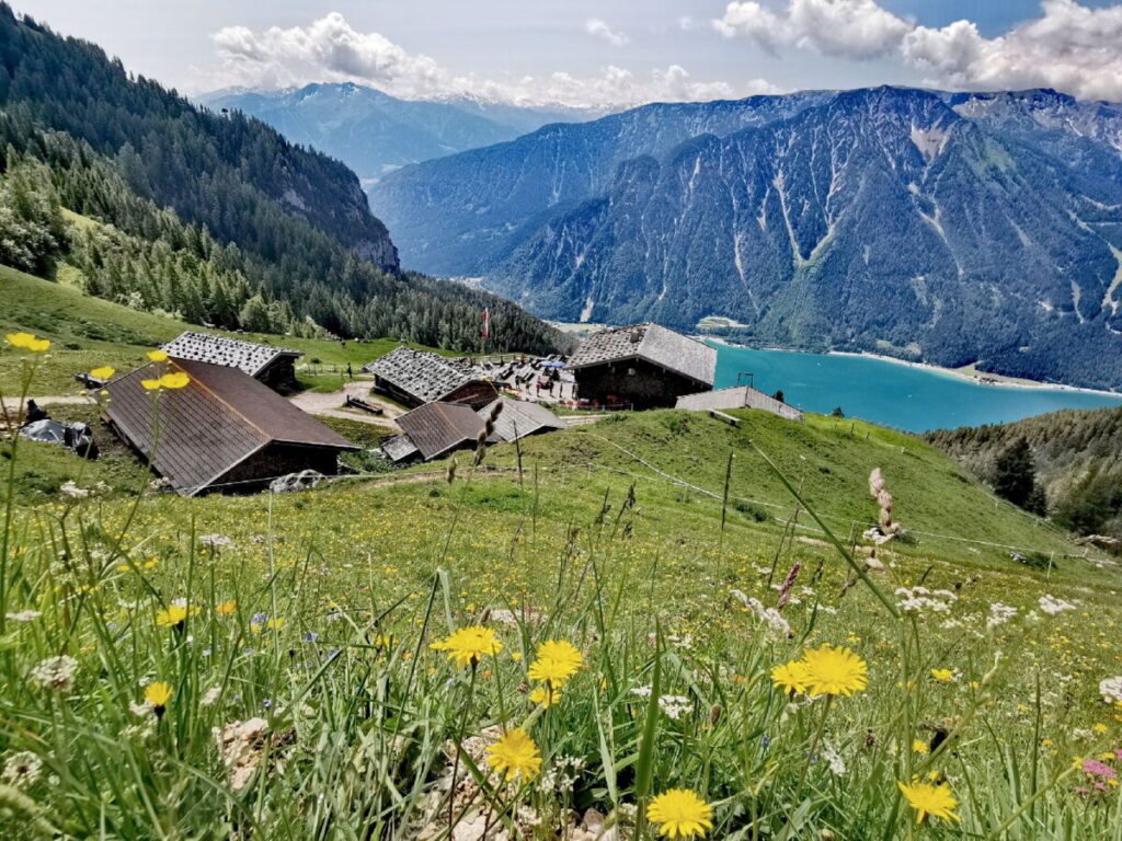 Achensee Karibik auf der Dalfazalm