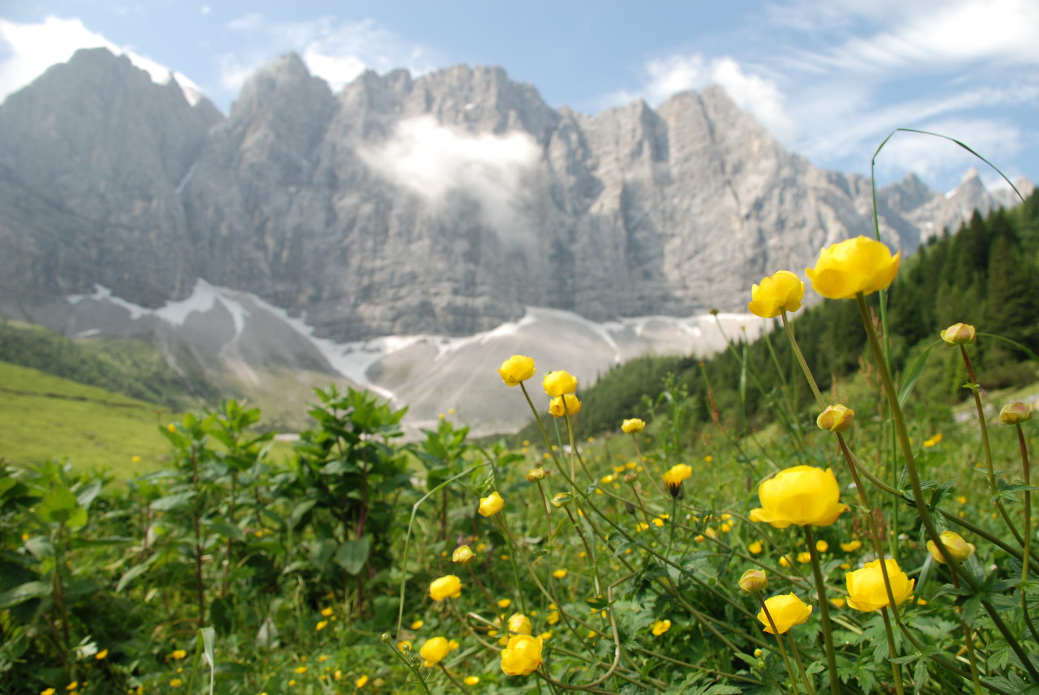 GROSSER AHORNBODEN ️ Echtes Naturwunder Im Karwendel