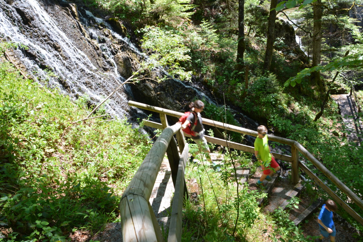 BODENSCHNEID WANDERN Tegernsee - über Die Bodenalm, Sutten